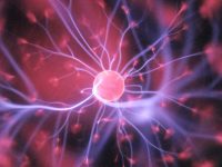 The Extended Mind Thesis: Where Does Your Brain End and Your Phone Begin?