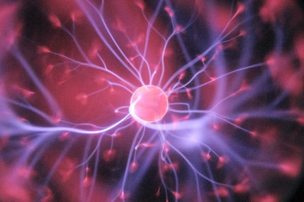 The Extended Mind Thesis: Where Does Your Brain End and Your Phone Begin?